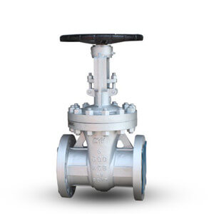 gate valve